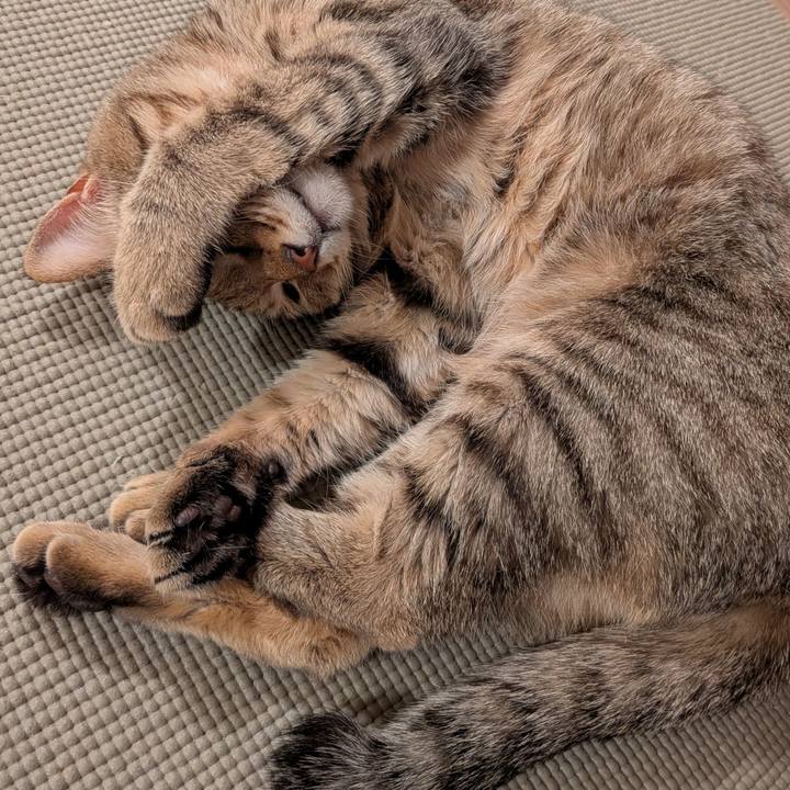 93b4a766 dae7 4e42 a939 7fb846dda3ce 1765669361149