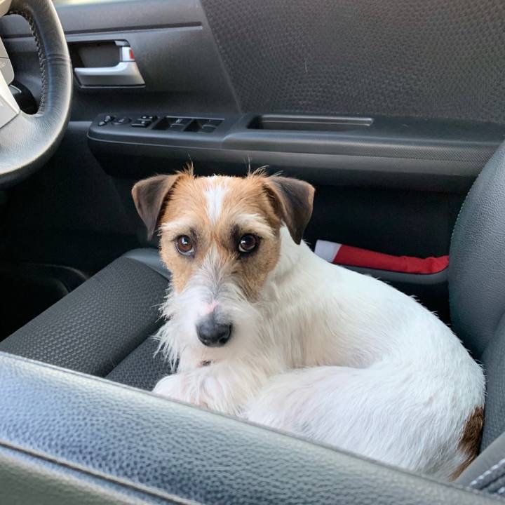 93b4b295 9770 4f77 bfce e869b458ceb2 1588152102614