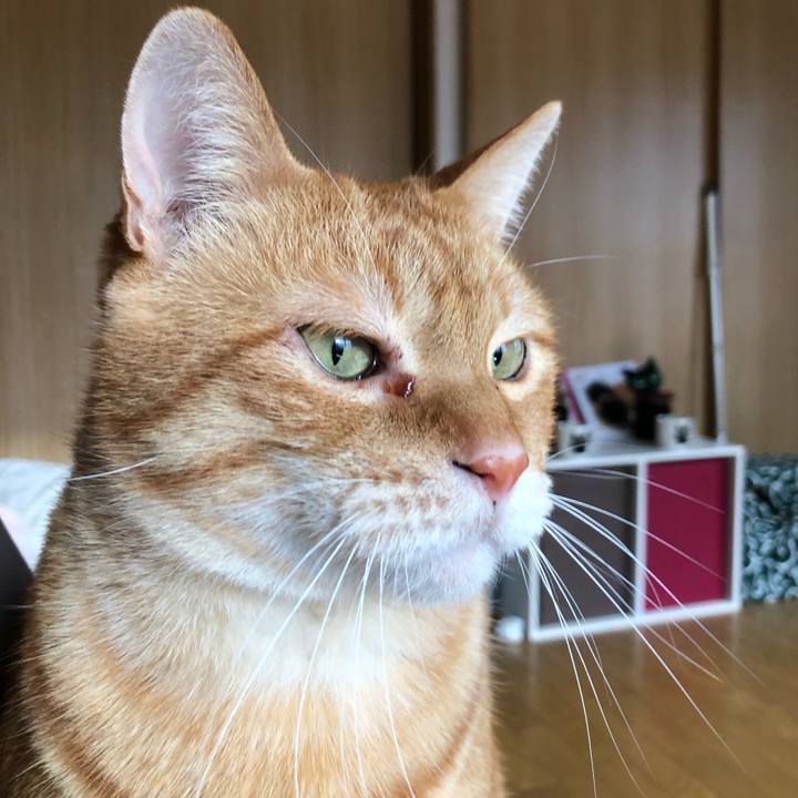 93b4c029 39aa 465f a7b0 ffd142b6af35 1651010931707