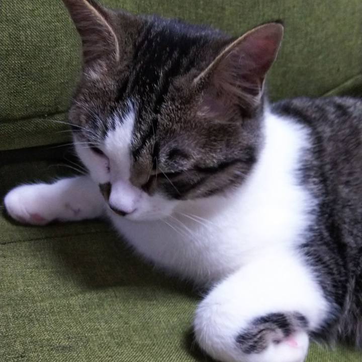 93b4c4f7 072e 43f7 8d39 dc08aa390587 1617438098066