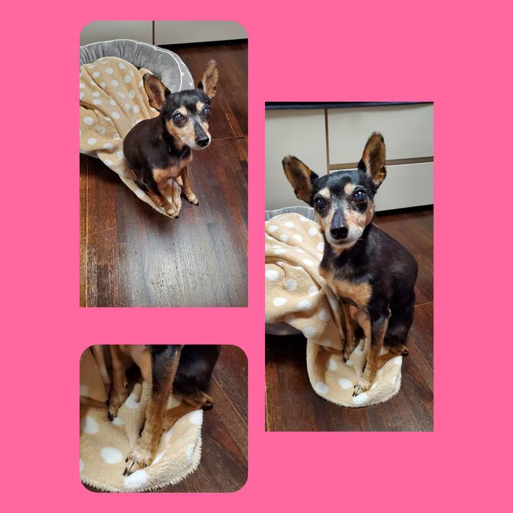 93b4ef20 b1b3 4f4f a772 1276bf864620 1667627861611