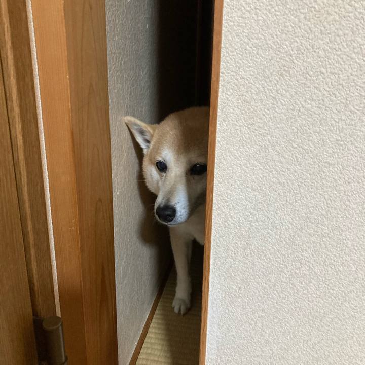 93b4fb62 fd8d 4644 9ff0 f69ccd1bb182 1616652871513