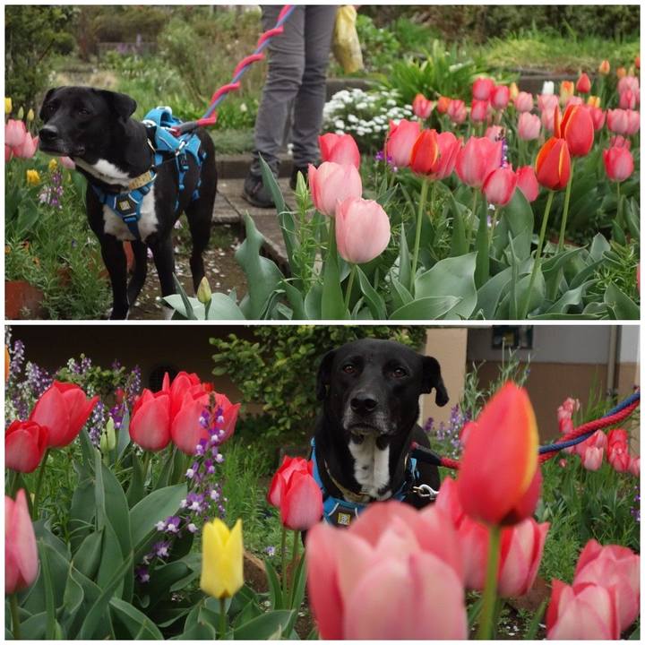 93b512eb 4d7b 4ecb 8ea1 24b6f7052ac3 1616890363272