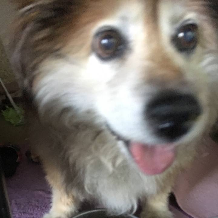 93b51c6e d814 40c4 85a9 9e39d3aad652 1563645914355