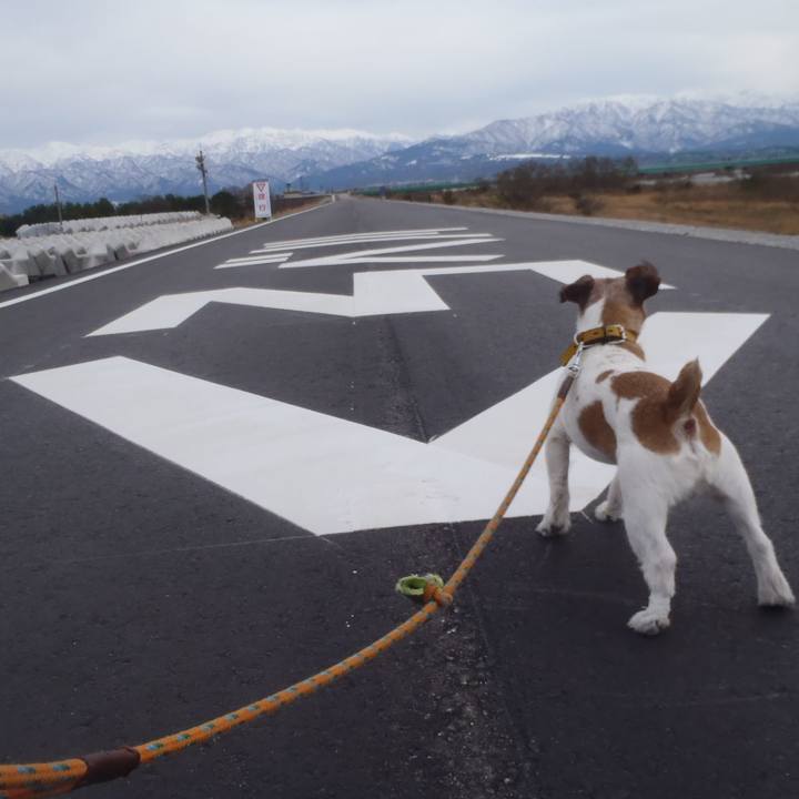 93b53d55 0d40 48b4 a4bf 424ff3de3b10 1514129162901