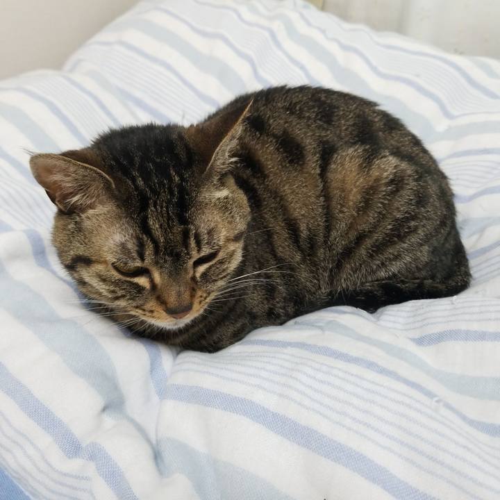 93b54cce 3704 424e 9cac c5379dbed9fc 1560375176606