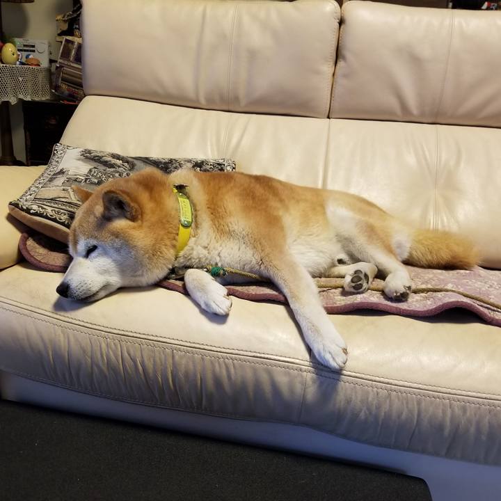 93b5c41d ecd2 48b2 8847 55a29e198a58 1684796752847