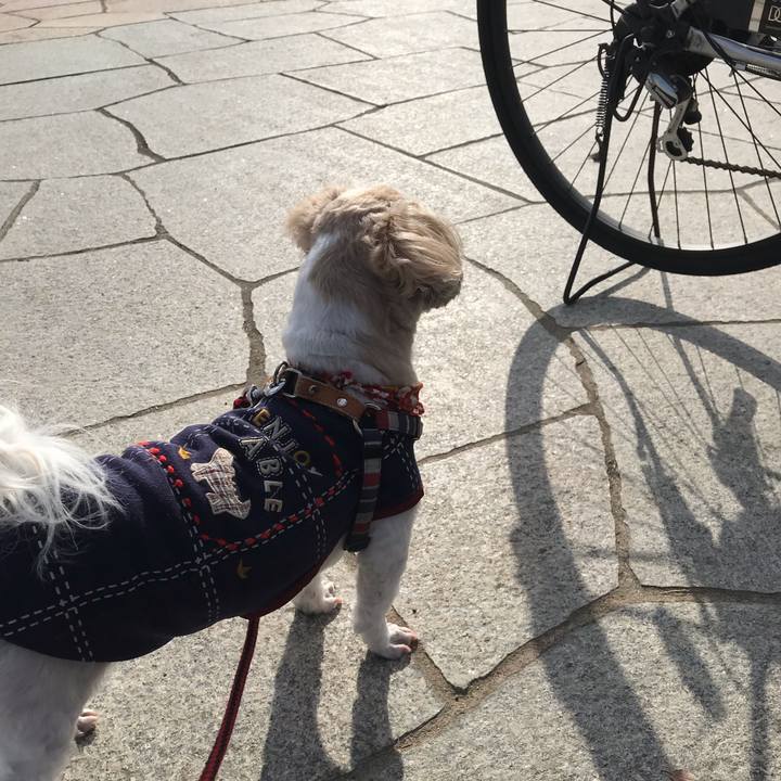 93b5de7e 71fe 4fb9 9129 166b8745d308 1545342324586