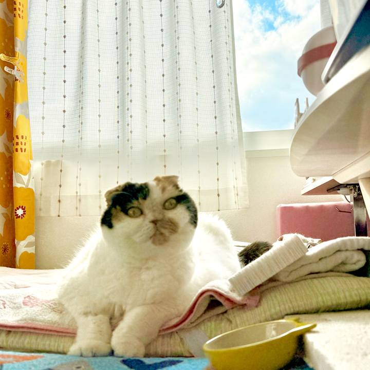 93b6009d 657c 487e a251 f9403b0bb9dd 1760443657914