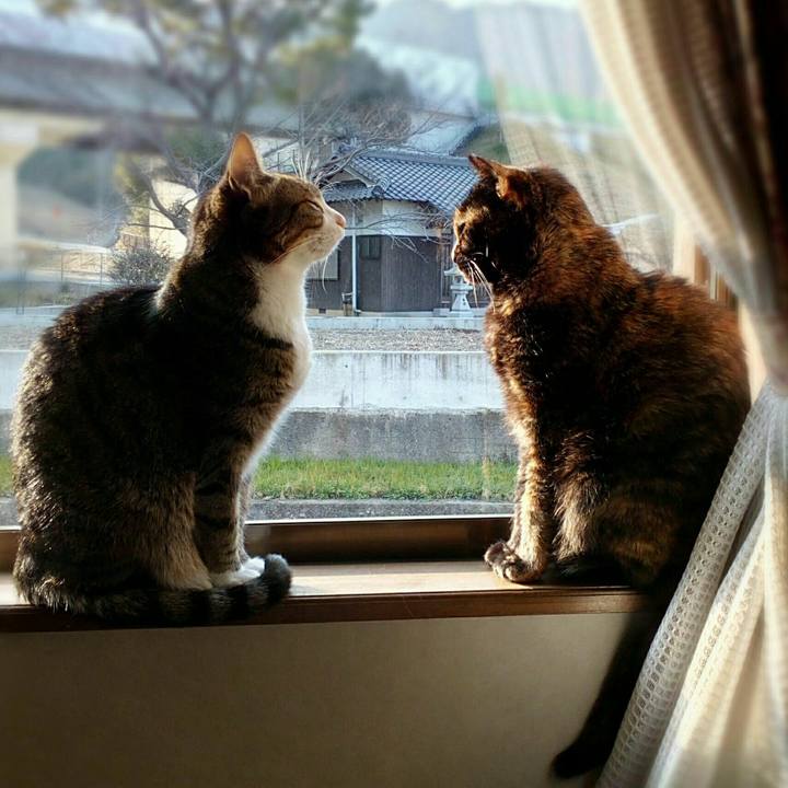 93b63e02 a13f 4aba 8ab0 719988fa77a2 1546826178386