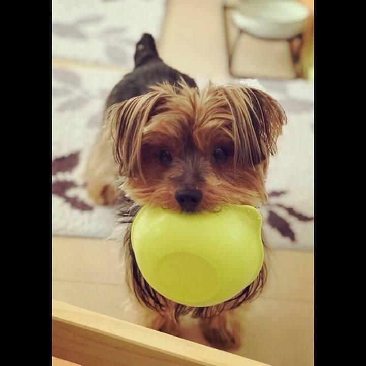 93b6757e a501 4a5f 9c59 8ff3acc561ea 1513569999532