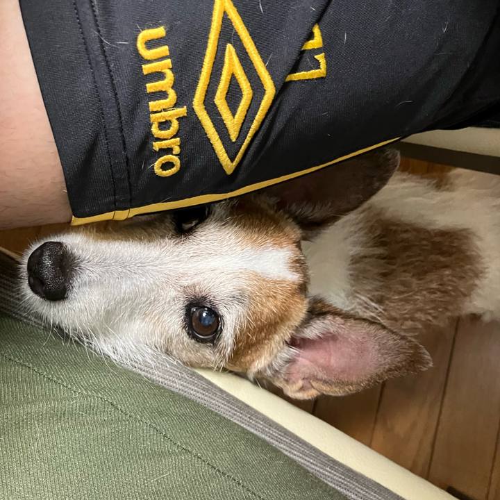 93b683cd 3747 4f6f 986c 046ffbb22249 1688426612519