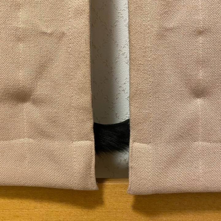 93b69a3e 1d89 49b0 b6e6 153a1fc10bfe 1765067129453