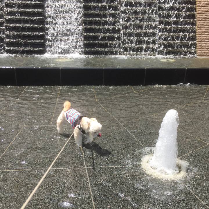 93b6e016 8776 4d34 bd1b c20fd765ca8c 1557030077370