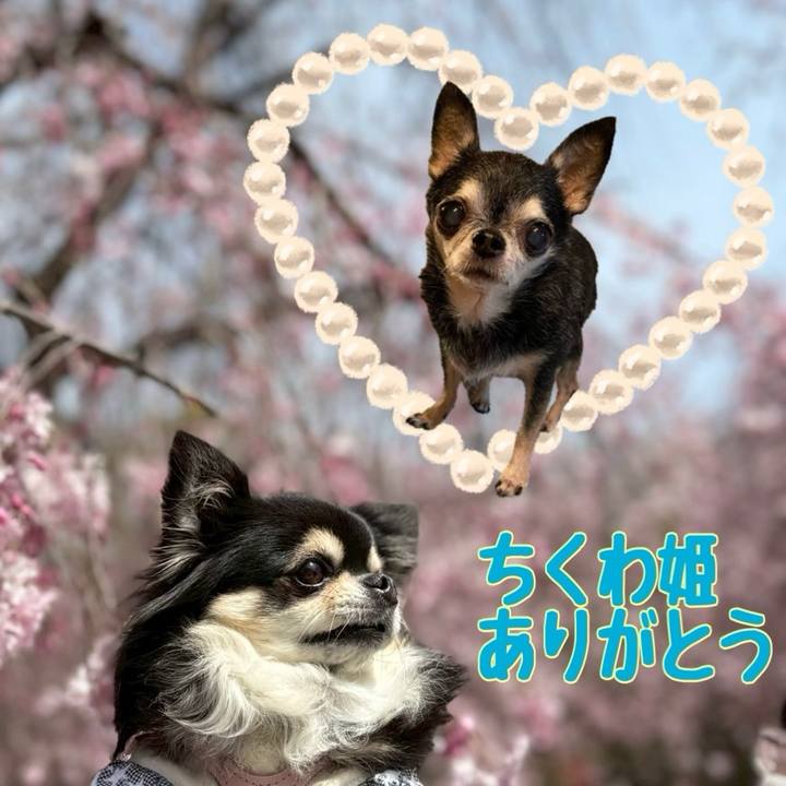 93b7132b fdef 4640 9015 56b34fa5918c 1744386364010