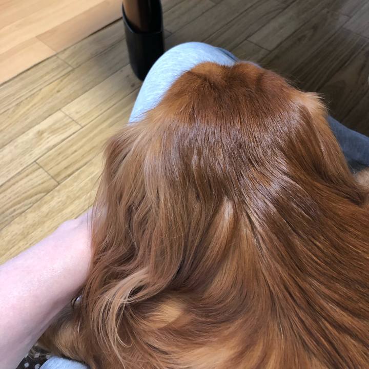 93b715a0 2ee5 4e05 ab73 010c0b069dc0 1570362024019