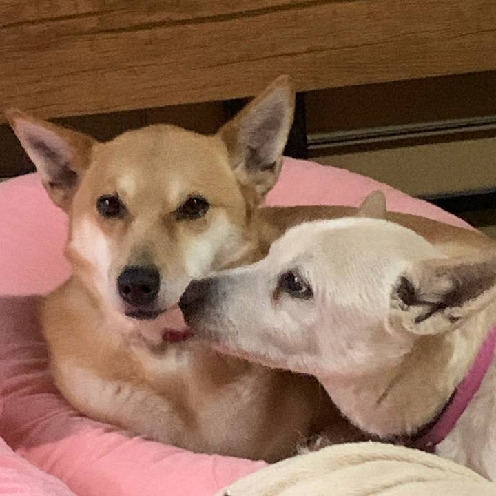 93b75c87 3870 4c4b 85ff 1cddf4bfb89b 1676720427439