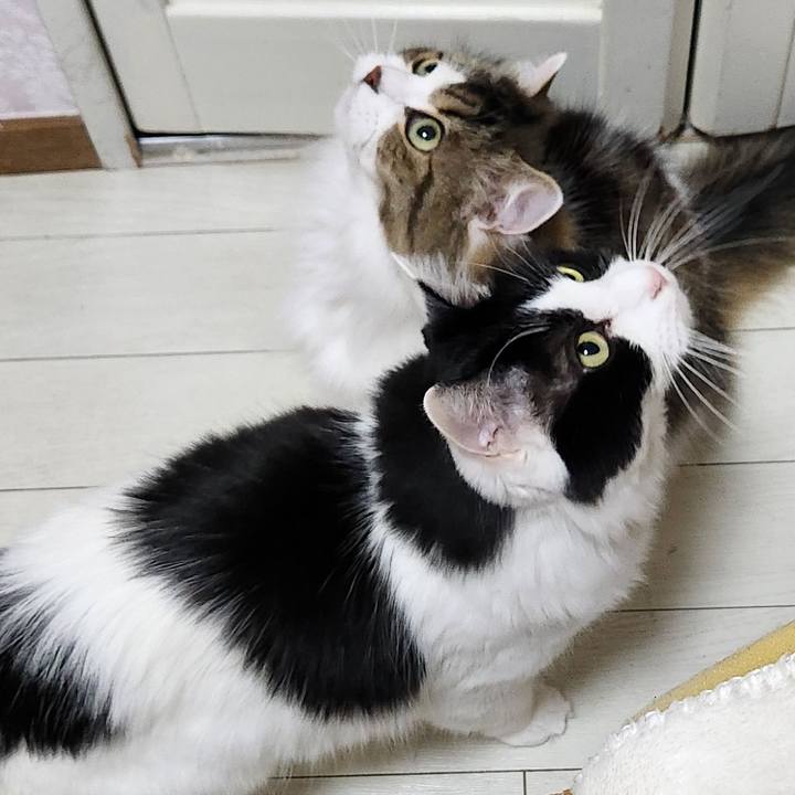 93b77015 faef 4fda 94ff 7c9b4bb8b902 1706411579059