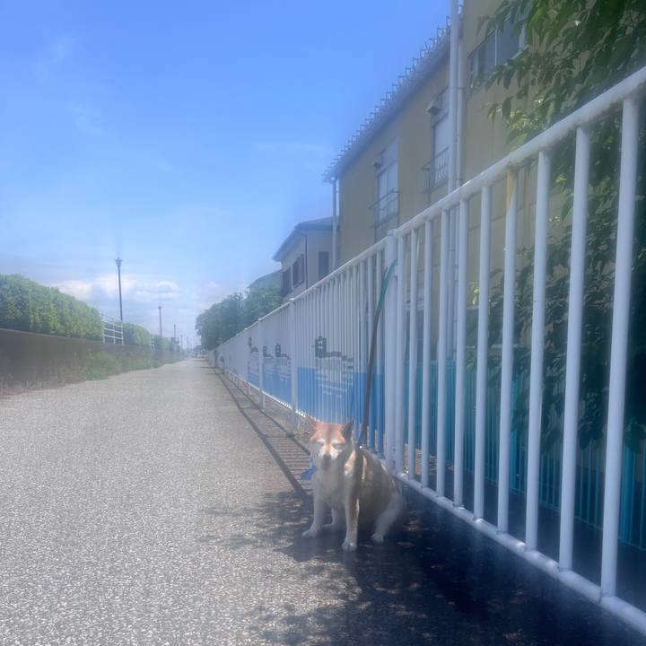 93b7724d 965a 4b6e a518 db085c54eb67 1716694445236