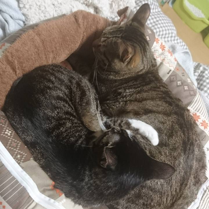 93b77b50 9455 4416 bbb9 1e45d6043b8d 1511531082363