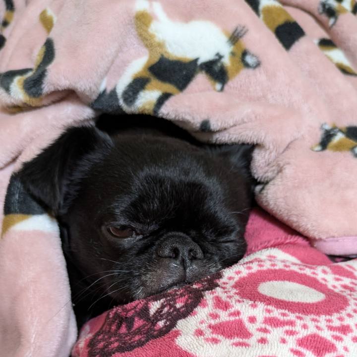 93b796b9 eb4c 40ca 9caa e5009a5ef0e3 1762611155544