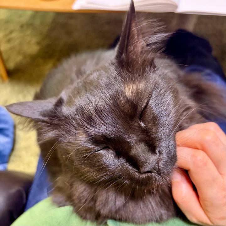 93b7a066 d60a 4bcb 87c5 a15cc5d90f62 1770469257402