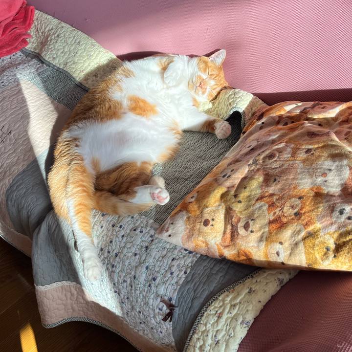 93b8085f a195 4f34 bada bee677e0bb82 1768267456796