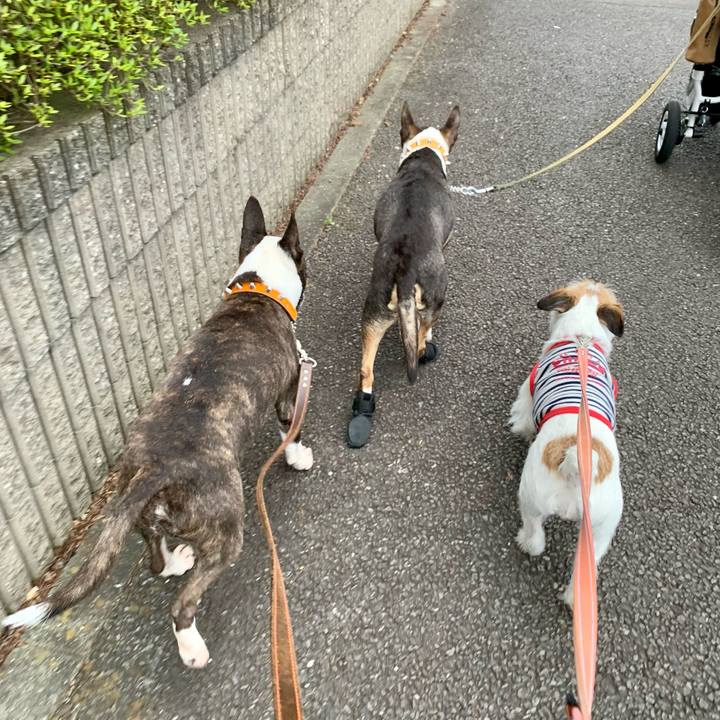 93b81534 ed7a 436a bc12 6e949f48c66b 1621858307472