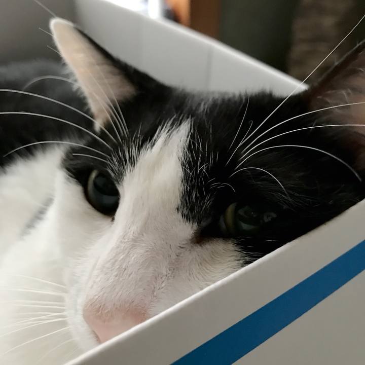 93b851e8 243a 4016 bd71 1f33a21e66e2 1537584653007