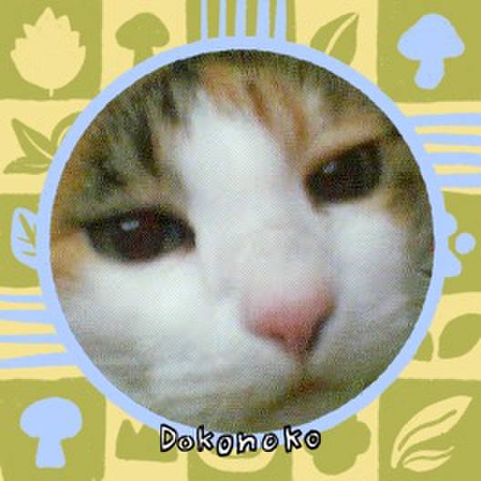 93b86a04 b1c6 4b32 b7be 9282b9d77d65 1761724532199