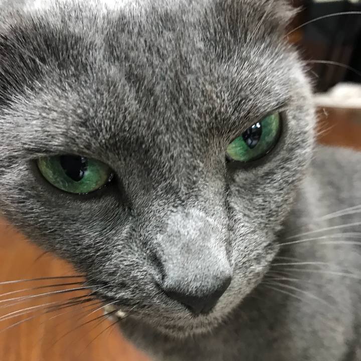 93b8b335 e885 44e7 b3a9 277983e780cf 1530935333647