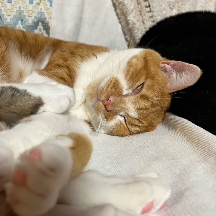 93b8f511 a915 4271 9332 3394ef42fb18 1700379067276