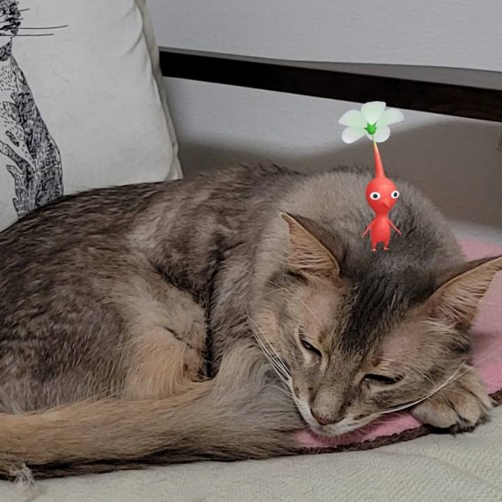 93b90256 8676 4e24 ad20 fa69894a3699 1639482587699