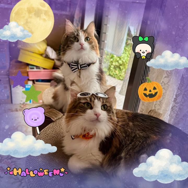 93b957c9 055f 4a6a 9a8a 1cb50dabfdbc 1761868274443