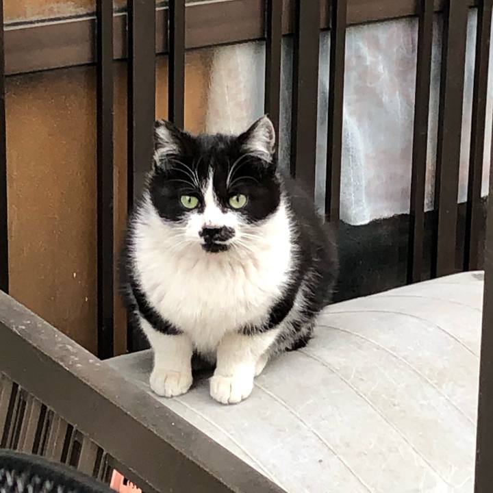 93b9673a fe0e 42d2 890c c464d3effb84 1551459556358