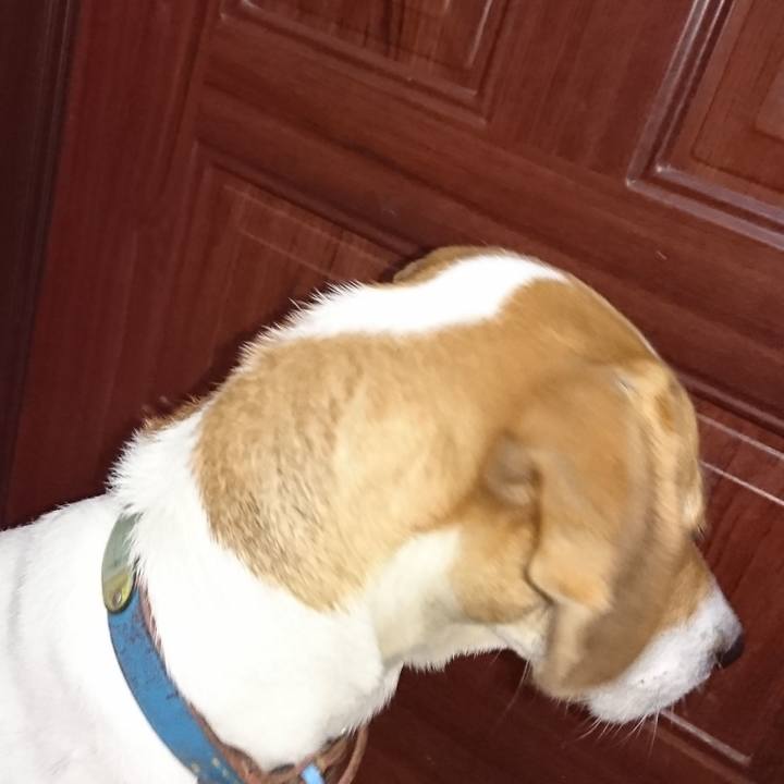 93b997d4 d309 4331 a76c b7c45fcf5982 1575104443126