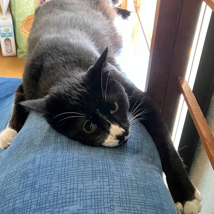 93b9b354 b6d6 4eb2 a4c9 e89a2d247c1c 1761544166906