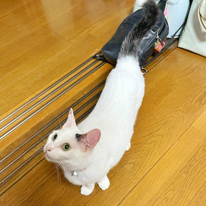 93b9cb4e 2813 400c 8484 dc106cde333a 1754881616761