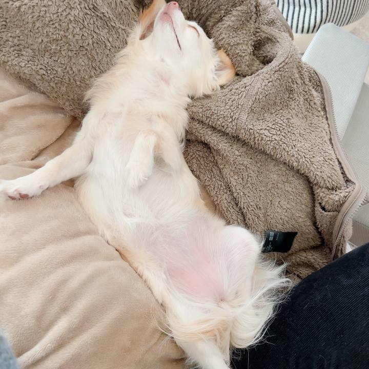 93b9ea86 3662 434e 8545 e53bc278c251 1707050413628