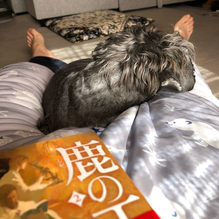 93b9f2fc 5351 4497 b305 b79adad5a557 1633238891890