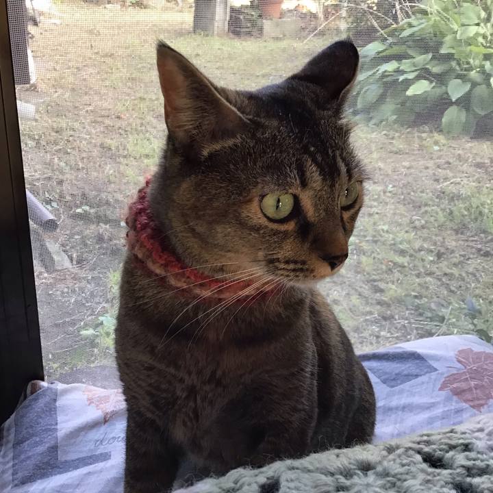 93ba1a6d 0bd9 4e56 a53d b517fcbcbfd3 1633164124726