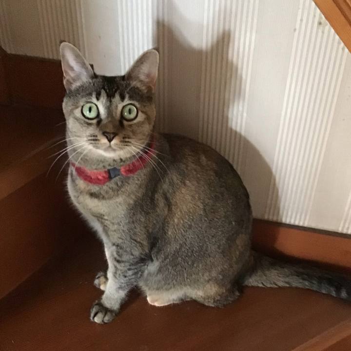 93ba3baf 75b3 4875 a0b2 3a9ed3278e2f 1601700486963