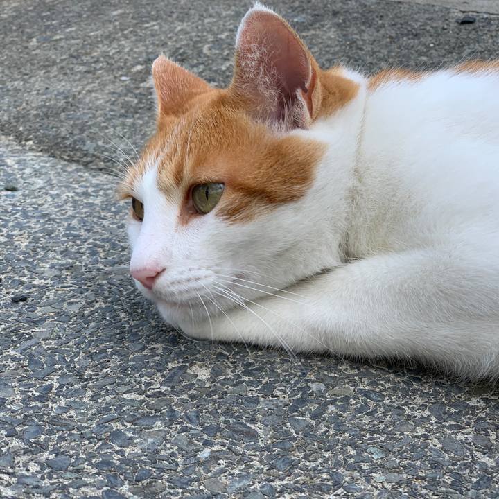 93baec9e 8c8b 4291 bd7f 87057d9b8fb4 1627911249660