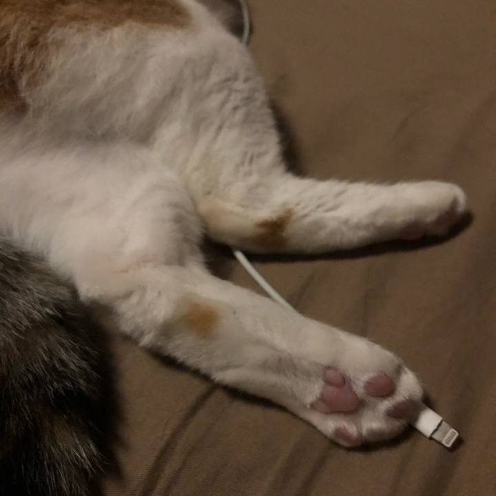 93bafa23 6126 4bc1 8933 45f6f2370383 1592154171390