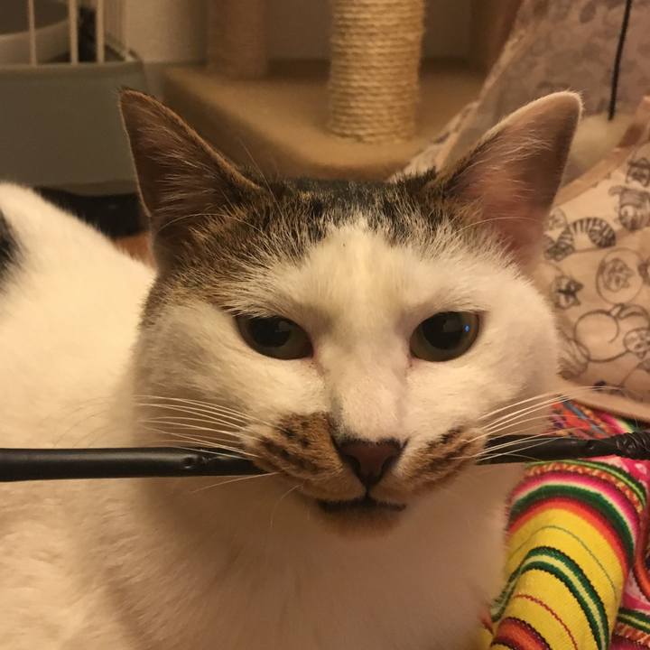 93bb0e65 df66 4302 8a8b 00efee5d0386 1515289883090