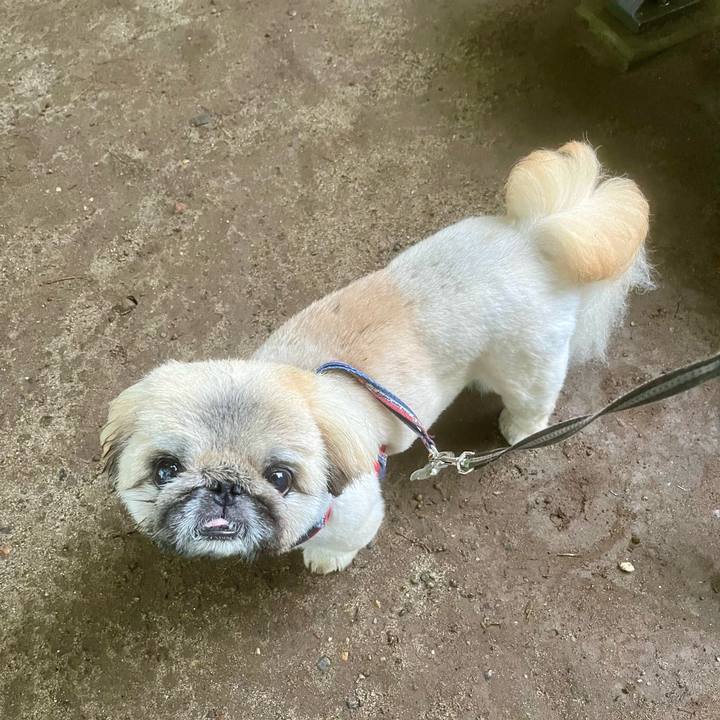 93bb4faa ca88 4985 b3e9 0e264d391be5 1719178052571