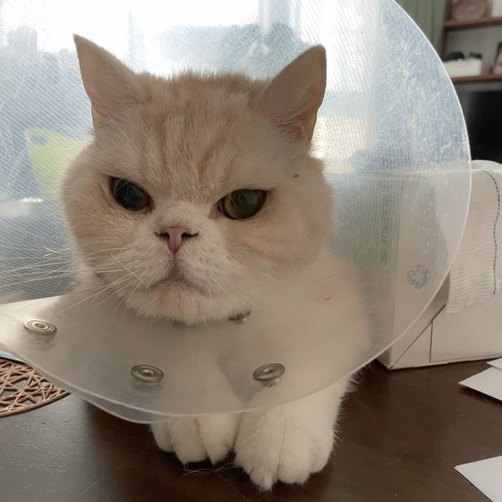 93bb5910 a32e 48d6 ad8f 877b85d04691 1758950988638