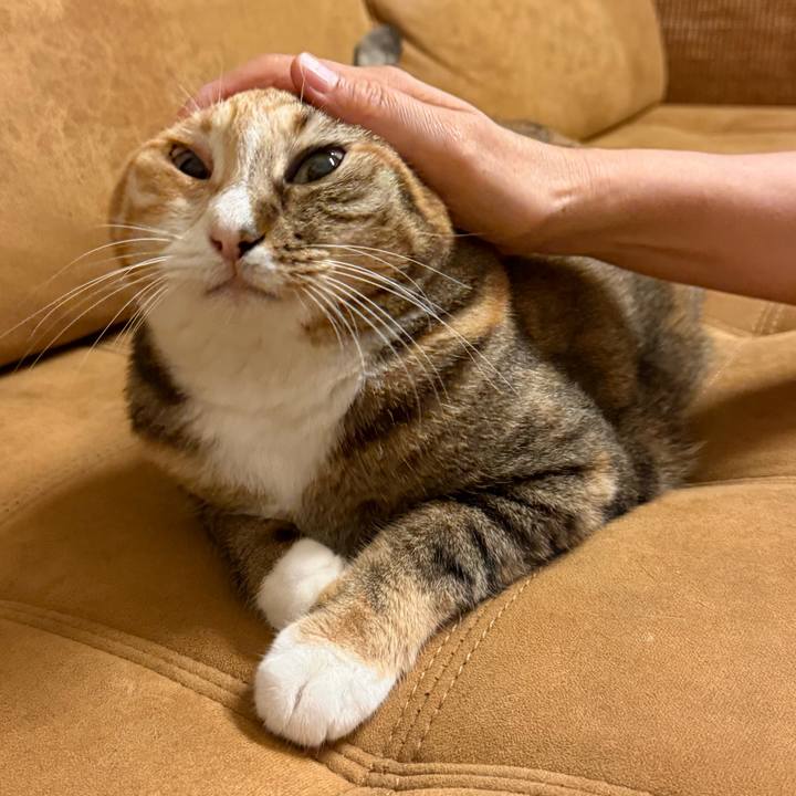 93bb5bc3 7e14 4673 9131 e16226a1809a 1761085389130