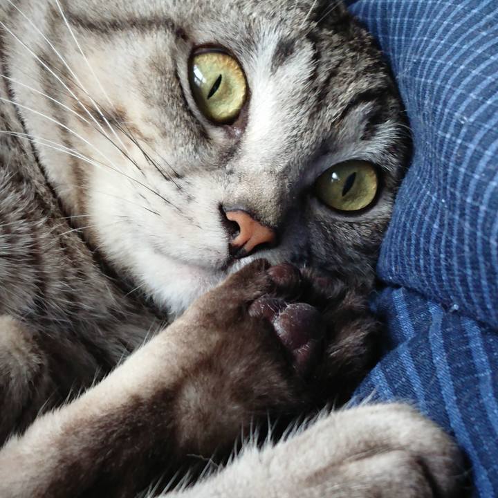 93bb66db 6563 45b3 a16e bc69592ddaa2 1557657767169