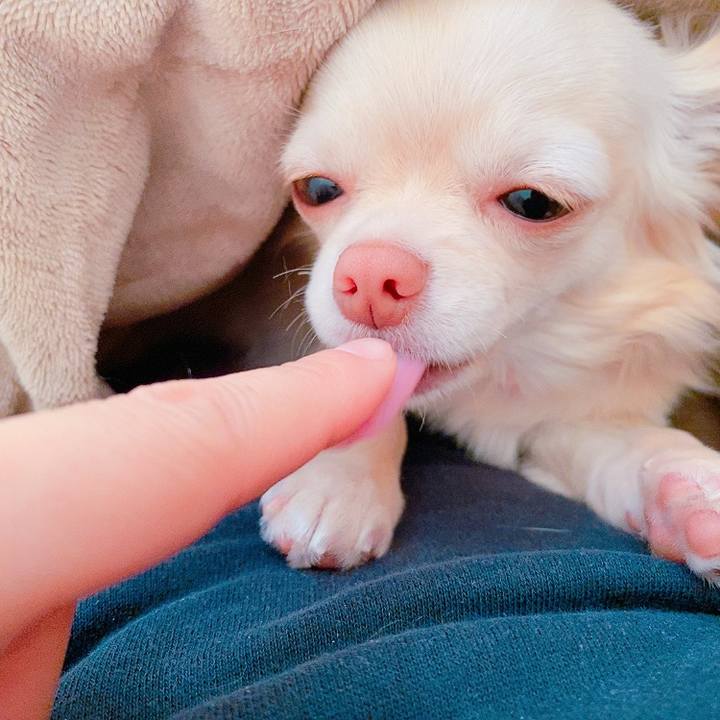 93bb80e5 80c4 4876 b1ff 1546f476261c 1614132606334